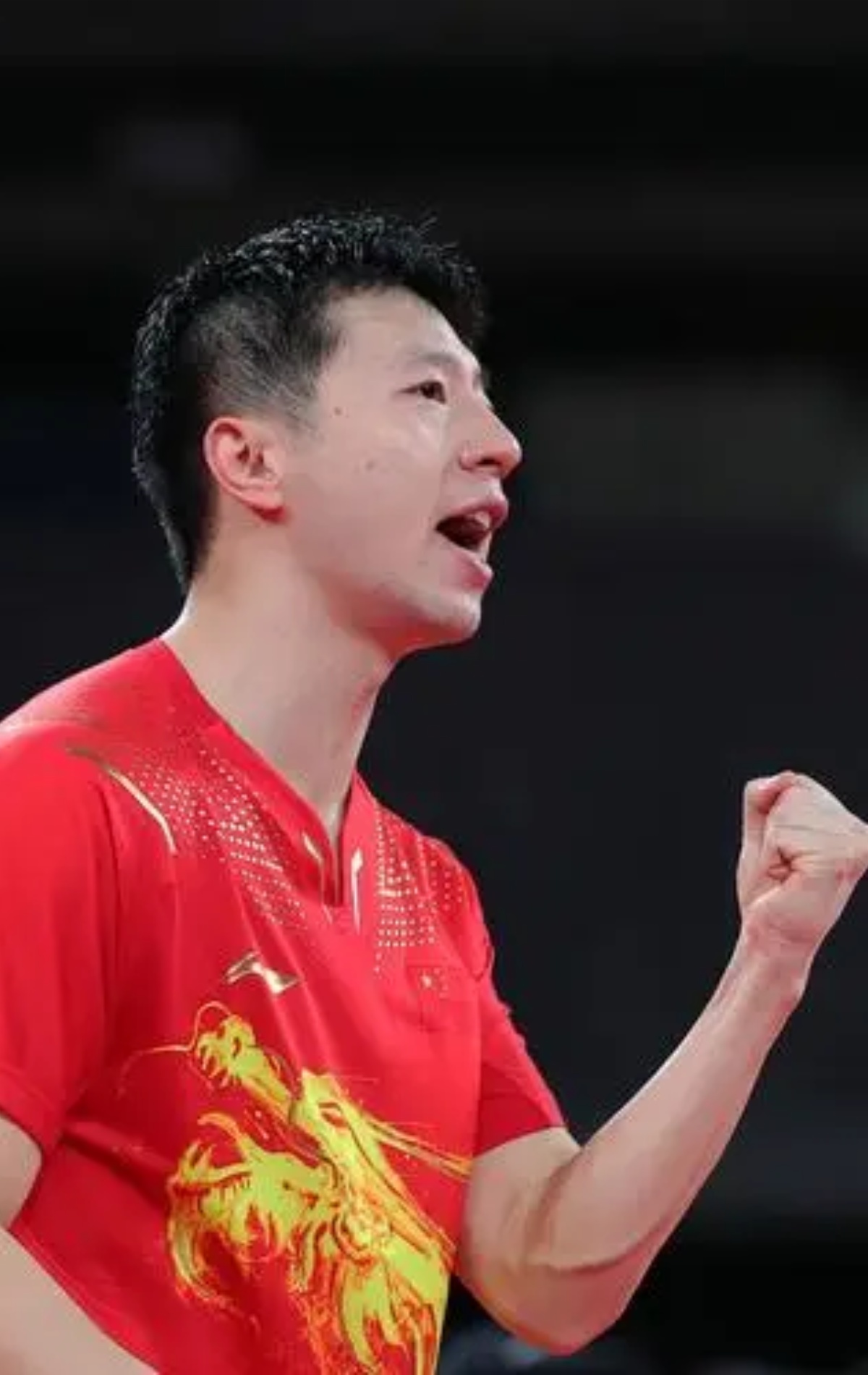 法国乒乓球队翻盘中国乒乓球队,马龙高光表现的简单介绍 法国乒乓球队翻盘中国乒乓球队,马龙高光表现的简单介绍